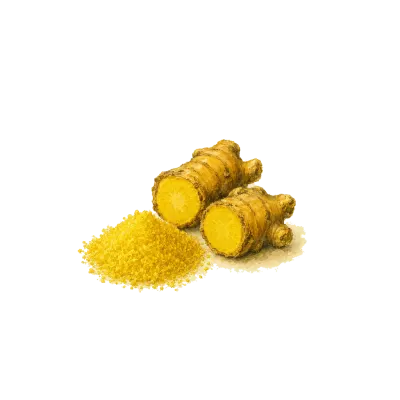 Berberine illustration
