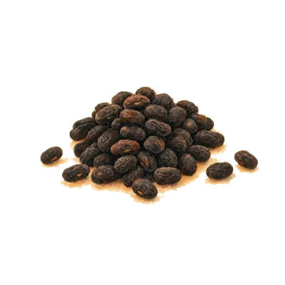 Dan Dou Chi (Prepared Soybean) illustration
