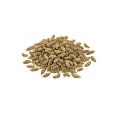 Niu Bang Zi (Burdock Seed) illustration