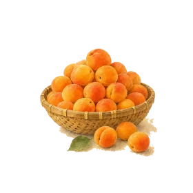 A woven basket piled with ripe apricots